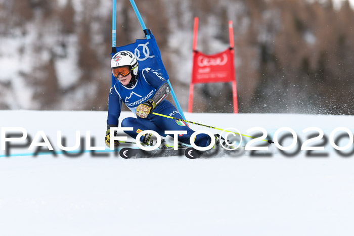 FIS + NJC Riesenslalom Damen + Herren 01.02.2020