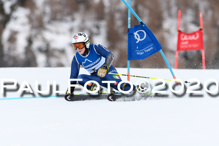 FIS + NJC Riesenslalom Damen + Herren 01.02.2020