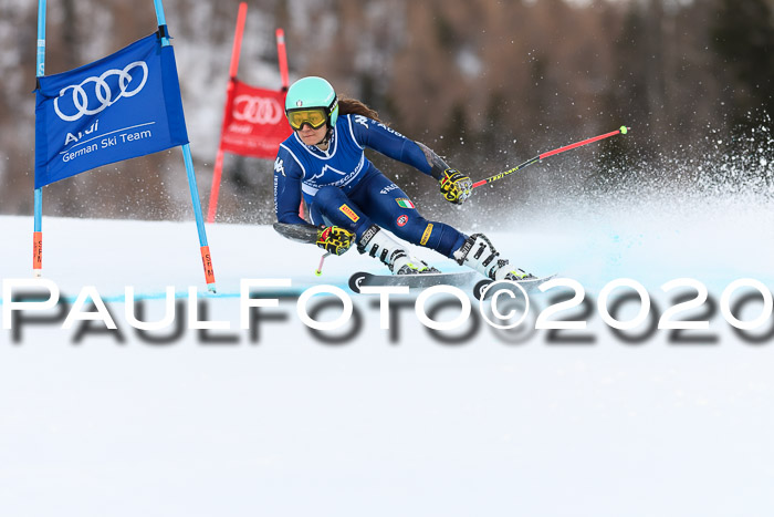 FIS + NJC Riesenslalom Damen + Herren 01.02.2020