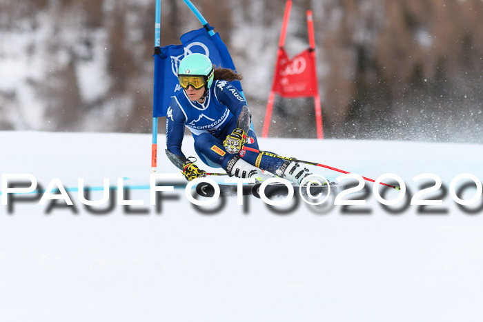 FIS + NJC Riesenslalom Damen + Herren 01.02.2020