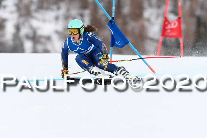 FIS + NJC Riesenslalom Damen + Herren 01.02.2020