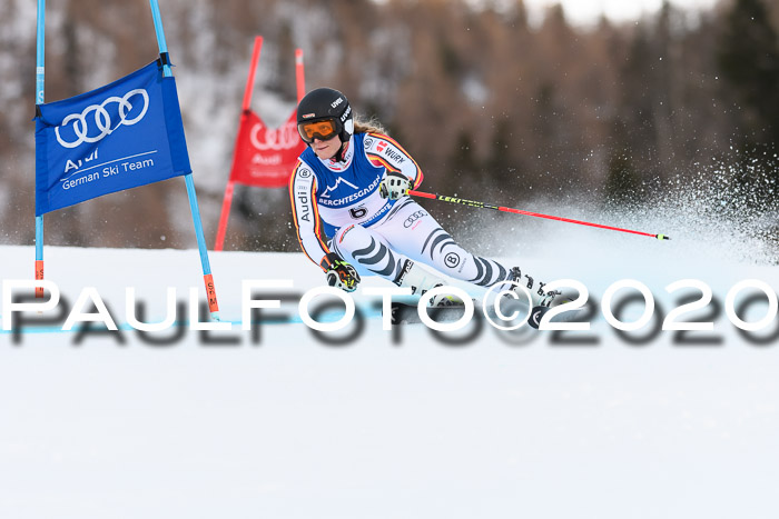 FIS + NJC Riesenslalom Damen + Herren 01.02.2020