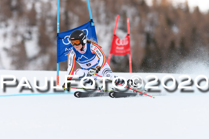 FIS + NJC Riesenslalom Damen + Herren 01.02.2020