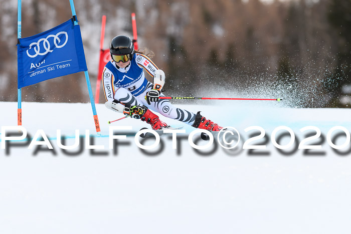 FIS + NJC Riesenslalom Damen + Herren 01.02.2020