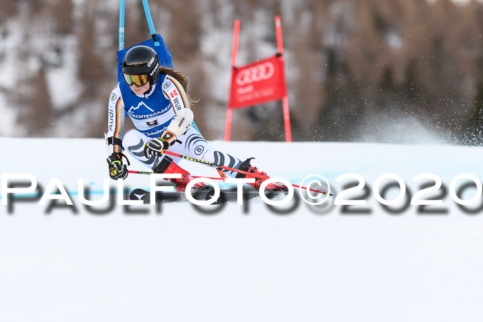 FIS + NJC Riesenslalom Damen + Herren 01.02.2020
