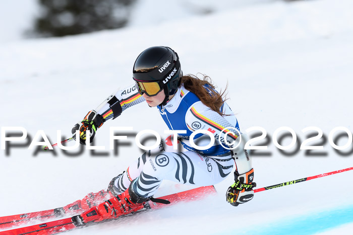 FIS + NJC Riesenslalom Damen + Herren 01.02.2020