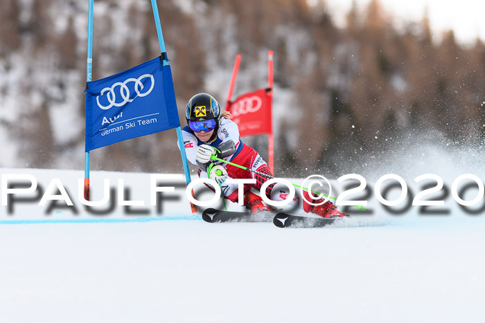 FIS + NJC Riesenslalom Damen + Herren 01.02.2020