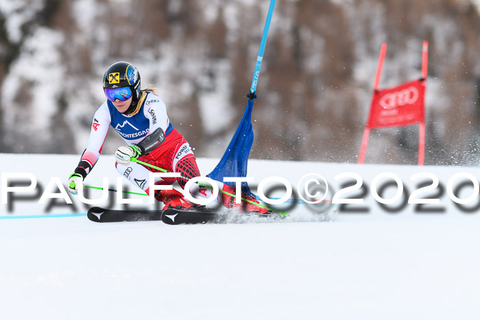 FIS + NJC Riesenslalom Damen + Herren 01.02.2020