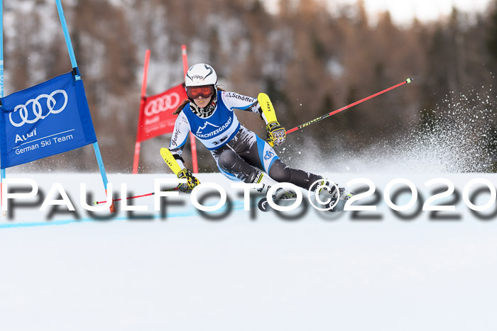 FIS + NJC Riesenslalom Damen + Herren 01.02.2020