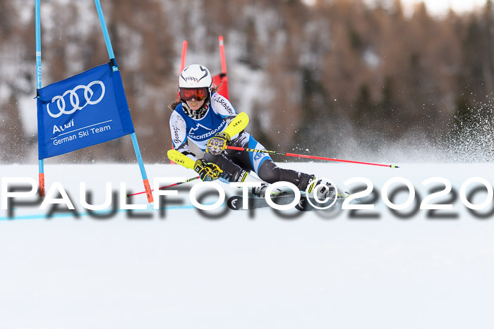 FIS + NJC Riesenslalom Damen + Herren 01.02.2020