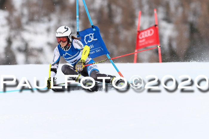 FIS + NJC Riesenslalom Damen + Herren 01.02.2020