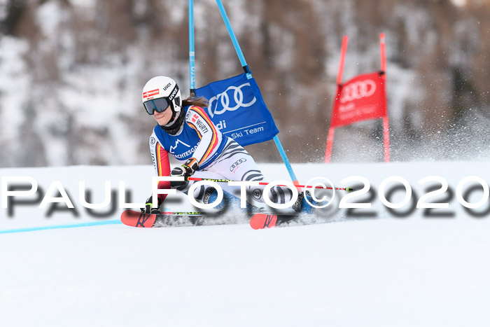FIS + NJC Riesenslalom Damen + Herren 01.02.2020