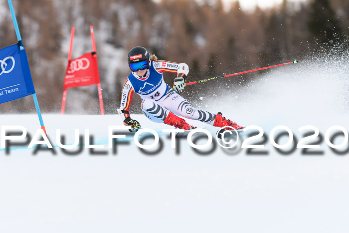 FIS + NJC Riesenslalom Damen + Herren 01.02.2020