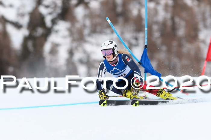 FIS + NJC Riesenslalom Damen + Herren 01.02.2020