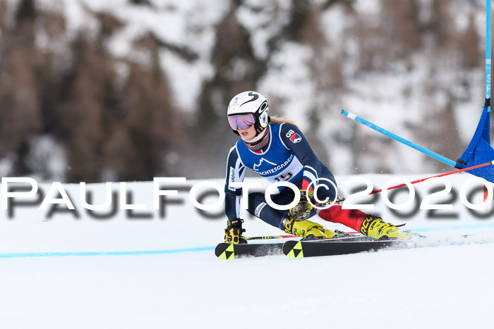 FIS + NJC Riesenslalom Damen + Herren 01.02.2020