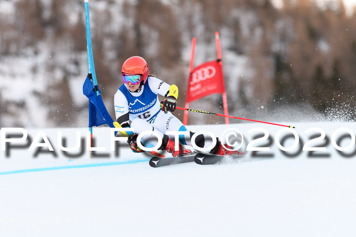 FIS + NJC Riesenslalom Damen + Herren 01.02.2020