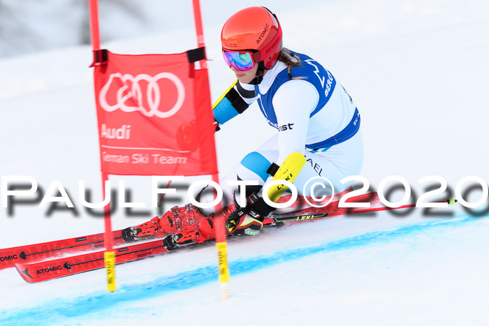 FIS + NJC Riesenslalom Damen + Herren 01.02.2020