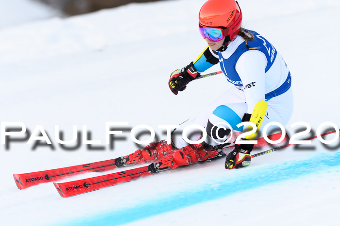 FIS + NJC Riesenslalom Damen + Herren 01.02.2020