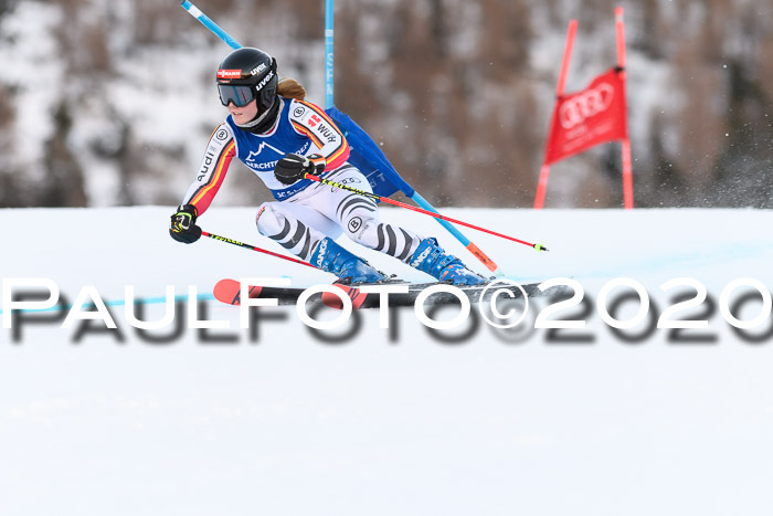 FIS + NJC Riesenslalom Damen + Herren 01.02.2020