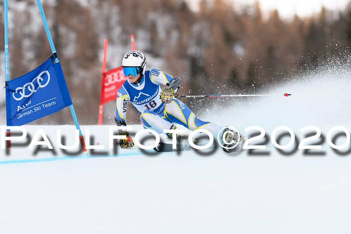 FIS + NJC Riesenslalom Damen + Herren 01.02.2020