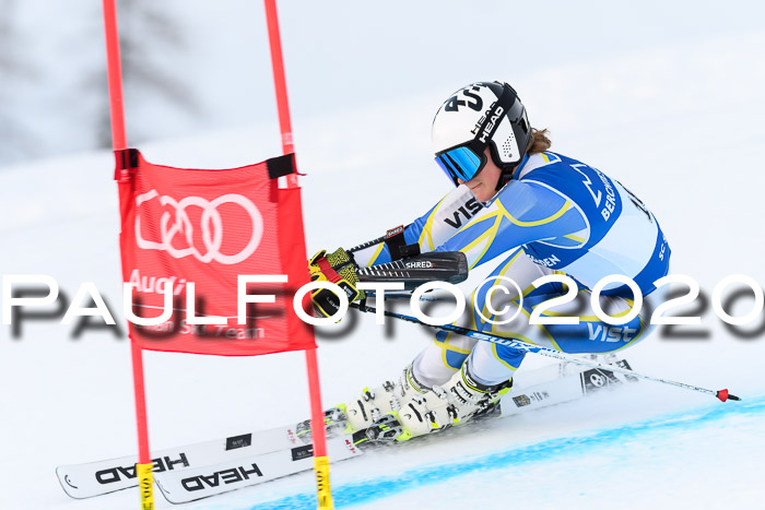 FIS + NJC Riesenslalom Damen + Herren 01.02.2020