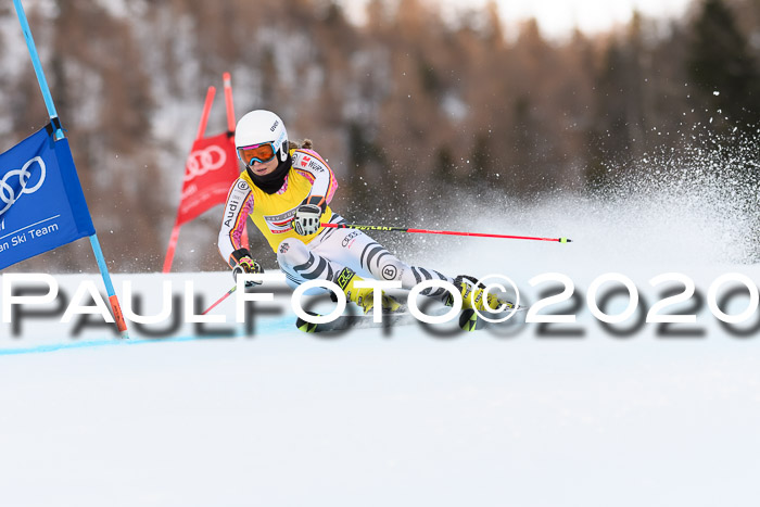 FIS + NJC Riesenslalom Damen + Herren 01.02.2020