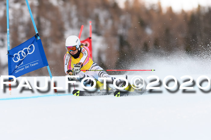 FIS + NJC Riesenslalom Damen + Herren 01.02.2020