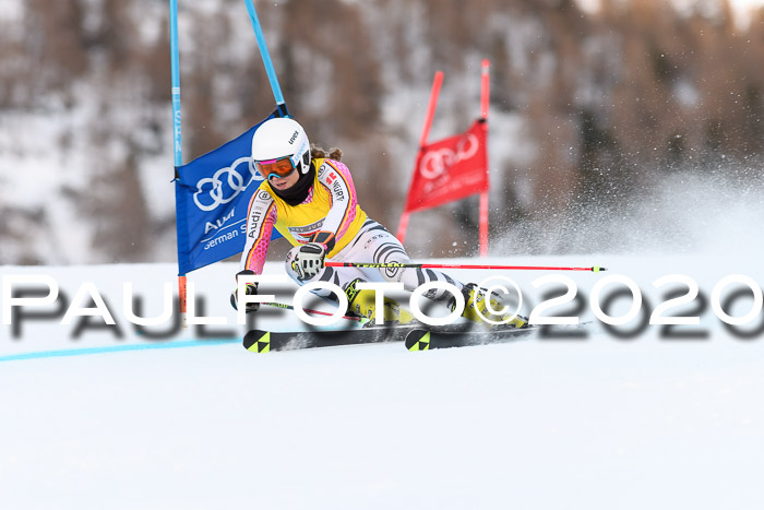 FIS + NJC Riesenslalom Damen + Herren 01.02.2020