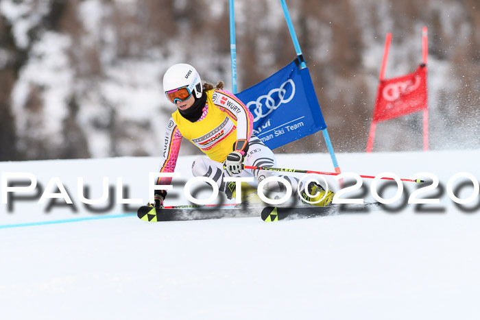 FIS + NJC Riesenslalom Damen + Herren 01.02.2020