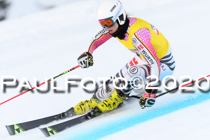 FIS + NJC Riesenslalom Damen + Herren 01.02.2020