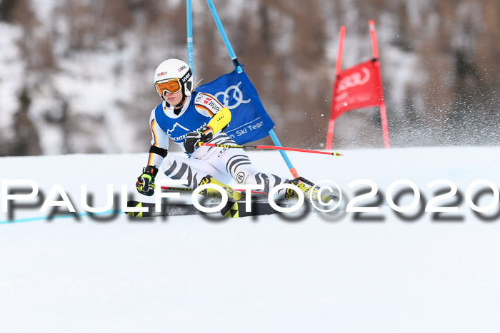 FIS + NJC Riesenslalom Damen + Herren 01.02.2020