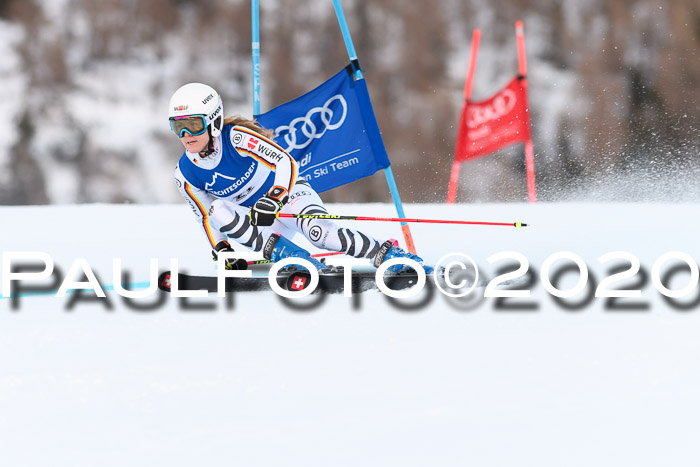 FIS + NJC Riesenslalom Damen + Herren 01.02.2020
