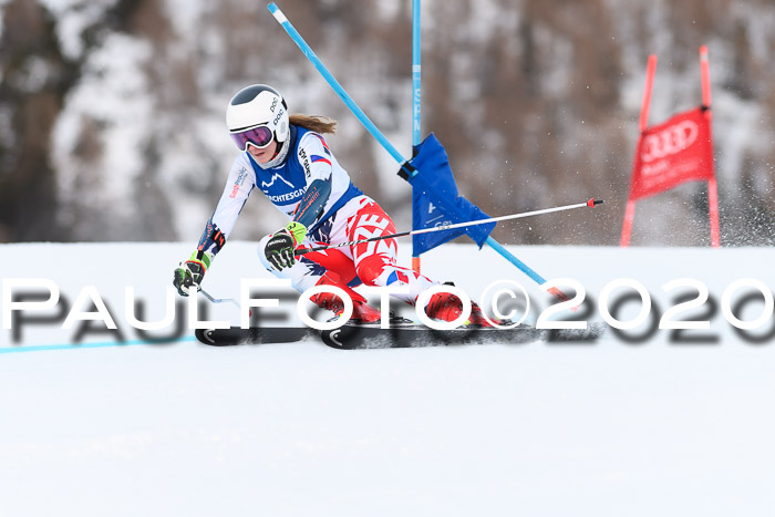 FIS + NJC Riesenslalom Damen + Herren 01.02.2020