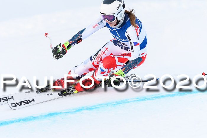 FIS + NJC Riesenslalom Damen + Herren 01.02.2020