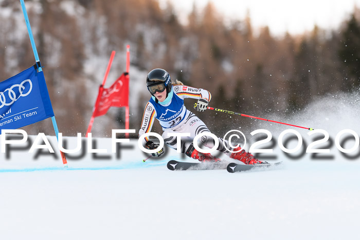 FIS + NJC Riesenslalom Damen + Herren 01.02.2020