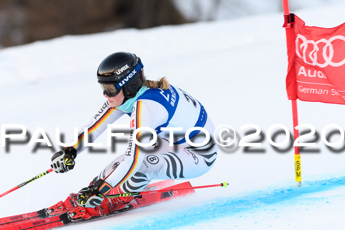 FIS + NJC Riesenslalom Damen + Herren 01.02.2020