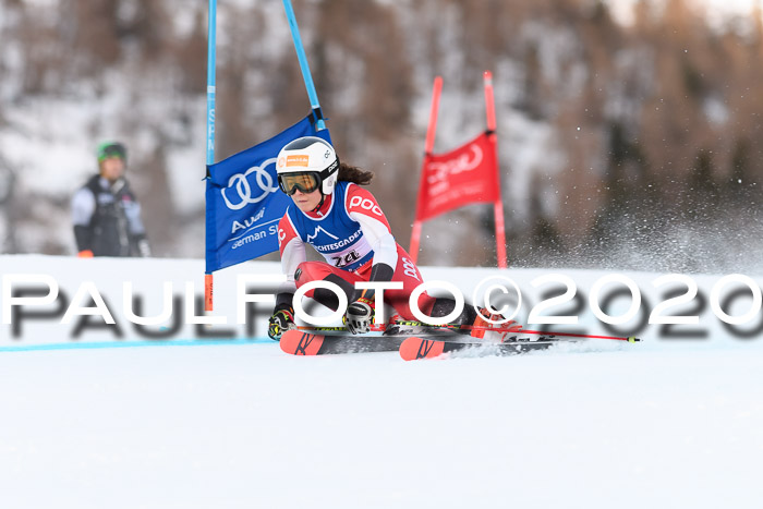 FIS + NJC Riesenslalom Damen + Herren 01.02.2020
