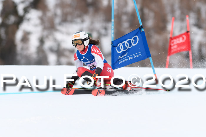 FIS + NJC Riesenslalom Damen + Herren 01.02.2020