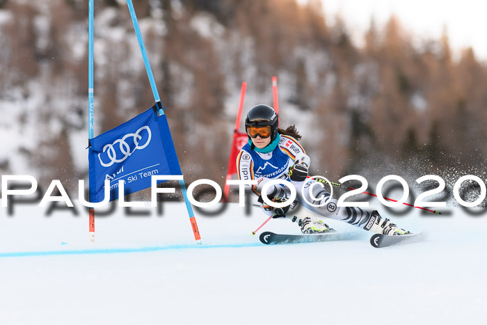 FIS + NJC Riesenslalom Damen + Herren 01.02.2020