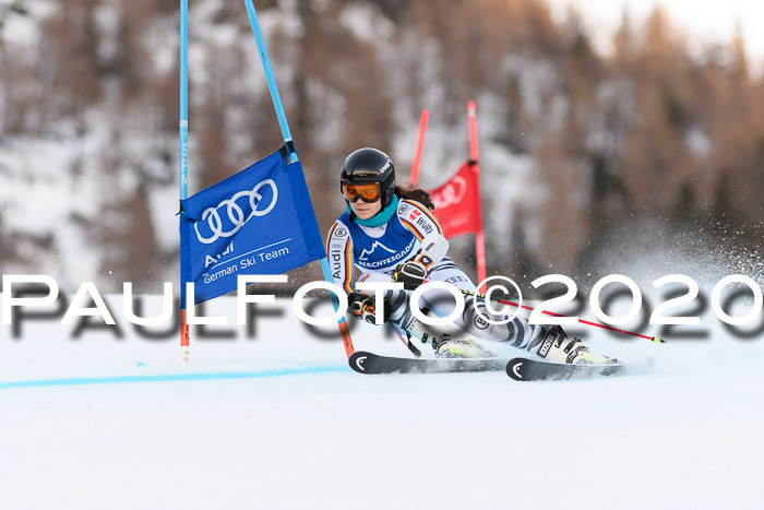 FIS + NJC Riesenslalom Damen + Herren 01.02.2020
