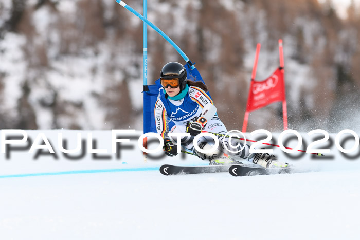 FIS + NJC Riesenslalom Damen + Herren 01.02.2020