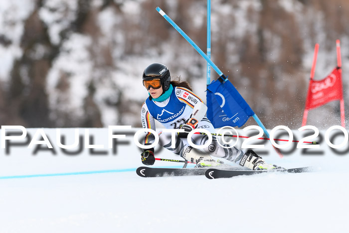 FIS + NJC Riesenslalom Damen + Herren 01.02.2020