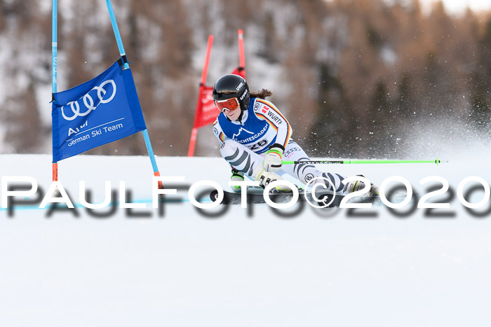 FIS + NJC Riesenslalom Damen + Herren 01.02.2020