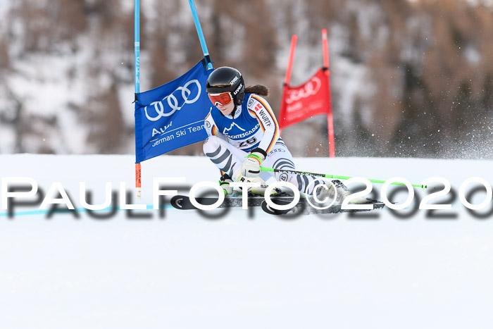 FIS + NJC Riesenslalom Damen + Herren 01.02.2020