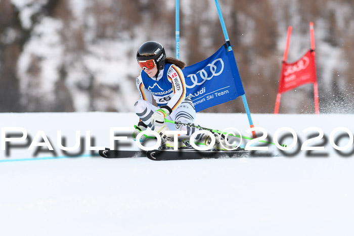 FIS + NJC Riesenslalom Damen + Herren 01.02.2020