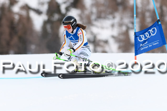 FIS + NJC Riesenslalom Damen + Herren 01.02.2020