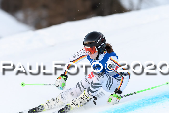 FIS + NJC Riesenslalom Damen + Herren 01.02.2020