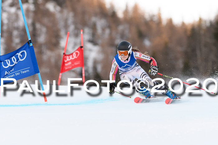 FIS + NJC Riesenslalom Damen + Herren 01.02.2020
