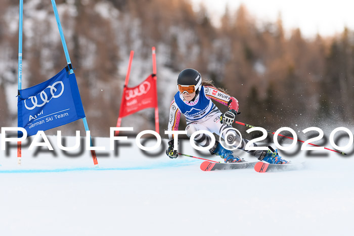 FIS + NJC Riesenslalom Damen + Herren 01.02.2020