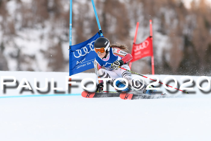 FIS + NJC Riesenslalom Damen + Herren 01.02.2020